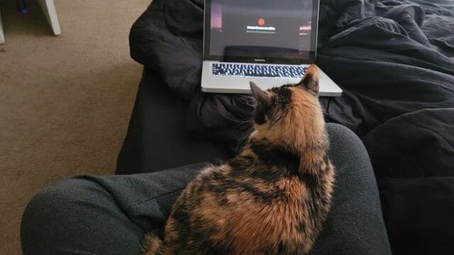 I’ve been unable to work all day, but at least I have good company.