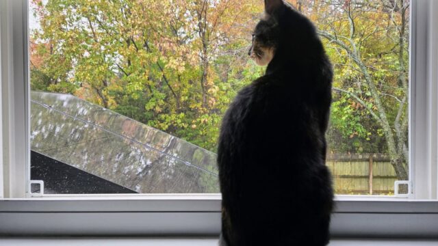 The view from my new office window is perfect.