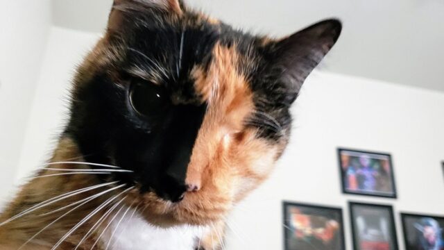 This is what I wake up to when I sleep at my apartment.