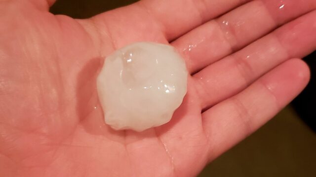 Woke up to the sound of these falling from the sky…