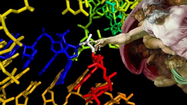 Untruth: Evolution proves there is no God.