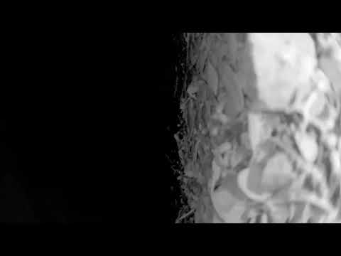 Rattack! – A 14-second horror movie